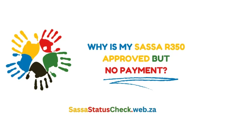 Why is My SASSA R350 Approved but No Payment?